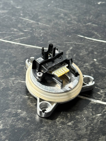 photo_2025-08-11_14-16-18